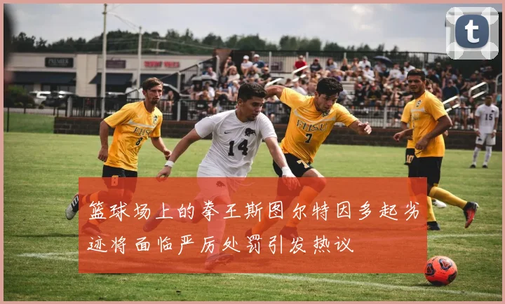篮球场上的拳王斯图尔特因多起劣迹将面临严厉处罚引发热议